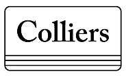 Company logo 2